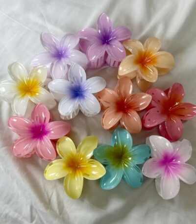 Single Product Layout Accessories