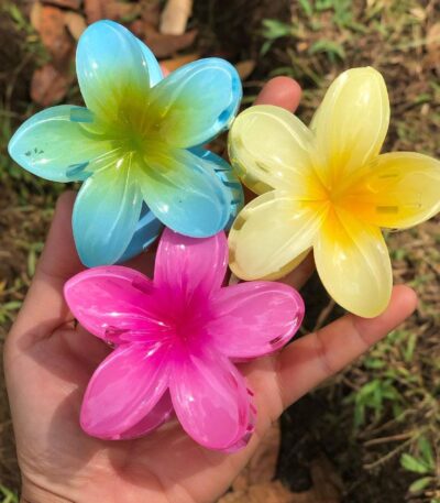 Single Product Layout Accessories