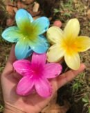 Trendy Colorful Flower Hair Claw Clips for Women and Girls